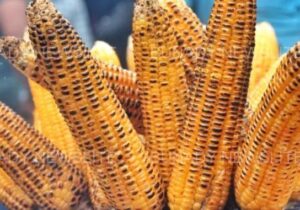 Following Diseases That Can Be Managed By Eating Roasted Corn