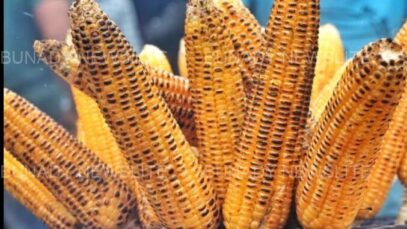 Following Diseases That Can Be Managed By Eating Roasted Corn