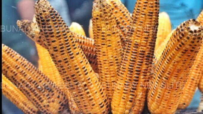 Following Diseases That Can Be Managed By Eating Roasted Corn
