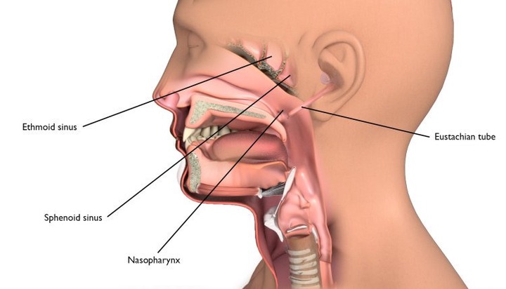 To Lower Your Risk of Throat Cancer, Avoid Here is 3 Three Risk Factors To Lower Your Risk of Throat Cancer, Avoid Here is 3 Three Risk Factors