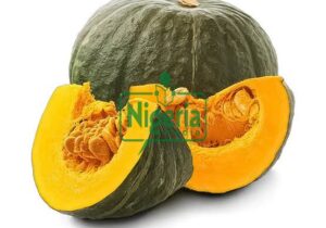 Pumpkin Is So Beneficial, See Some Diseases It Can Cure And Other Uses (BREAKING)