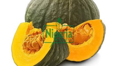 Pumpkin Is So Beneficial, See Some Diseases It Can Cure And Other Uses (BREAKING)
