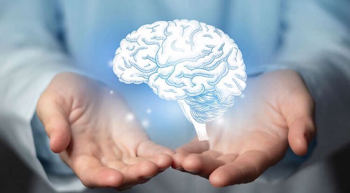 9 Things You Should Do for Your Brain Health Every Day, According to Neurologists 9 Things You Should Do for Your Brain Health Every Day, According to Neurologists