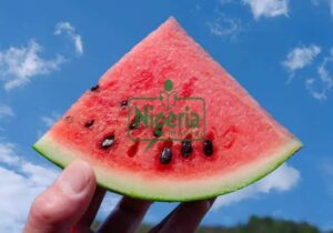 Eight 8 Fruits You Should Avoid Consuming At Night