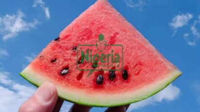 Eight 8 Fruits You Should Avoid Consuming At Night