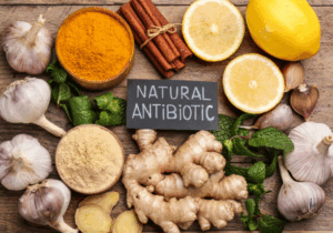 7 Common Natural Antibiotics That Can Help Fight Infections
