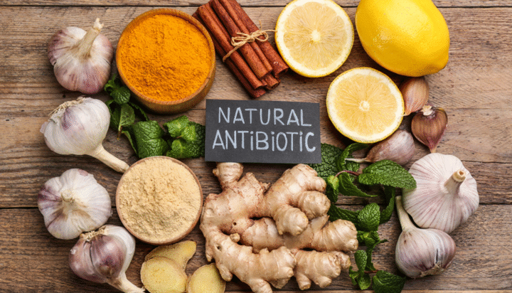 7 Common Natural Antibiotics That Can Help Fight Infections