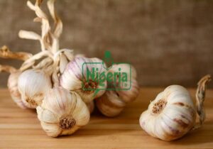 The Must-Know Health benefits Of Consuming Raw Garlic Daily