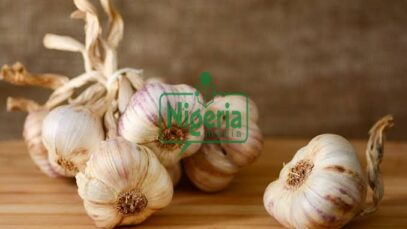 The Must-Know Health benefits Of Consuming Raw Garlic Daily