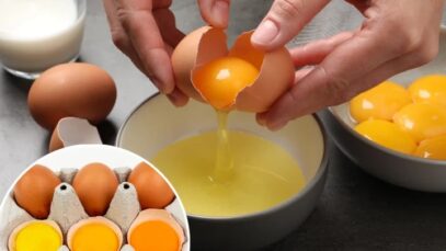 Understanding Egg Yolk Color: What It Reveals About Nutrition and Quality (BREAKING)