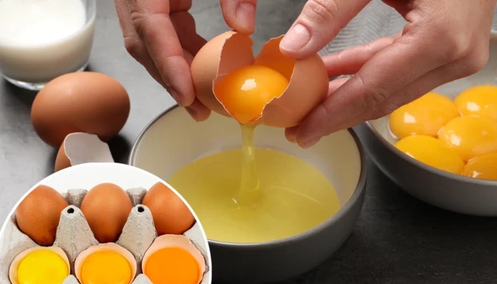 Understanding Egg Yolk Color: What It Reveals About Nutrition and Quality (BREAKING) Understanding Egg Yolk Color: What It Reveals About Nutrition and Quality (BREAKING)