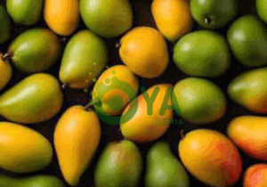 7 Seven Fruits to Not Consume on an Empty Stomach