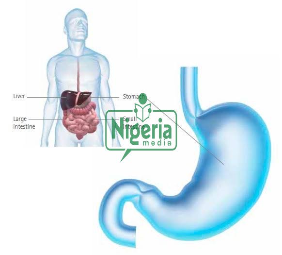 These 3 Three Everyday Foods Could Lead To Stomach Cancer These 3 Three Everyday Foods Could Lead To Stomach Cancer