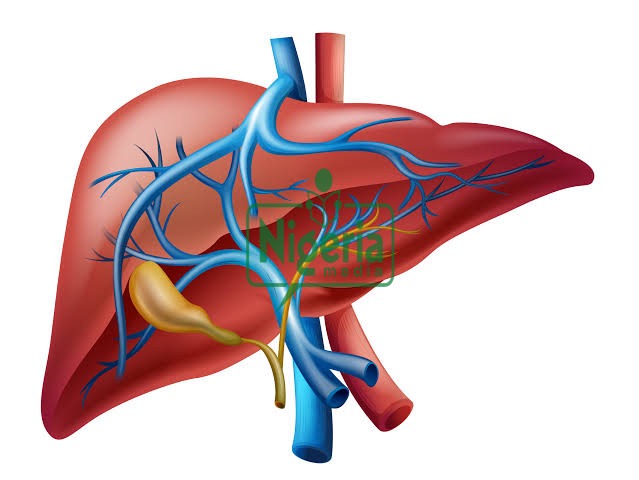 How To Cleanse Your Liver In Just Three Days How To Cleanse Your Liver In Just Three Days