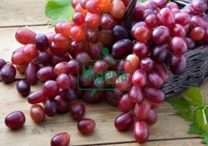 Powerful Foods That May Help Protect Against Cancer (HEALTH)