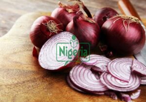 Here What Are The Benefits And Side Effects Of Eating Onions During Pregnancy