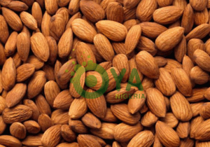 What Happens To Your Body If You Eat 4 Four Almonds Every Day