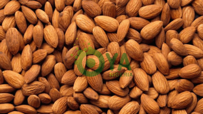 What Happens To Your Body If You Eat 4 Four Almonds Every Day