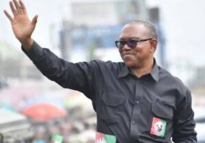 Reasons Why Atiku Desperately Needs Peter Obi