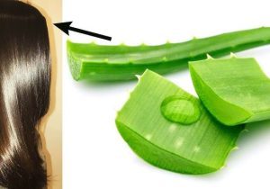 Add The Goodness Of Miraculous Aloe Vera Gel In Your Beauty Regimen (JUST-IN)