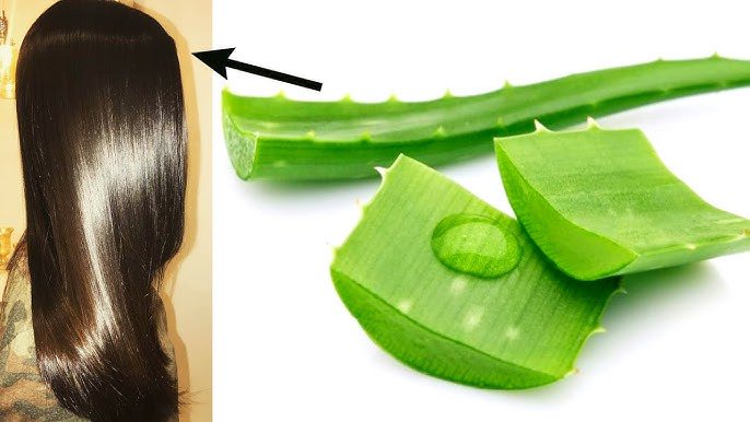 Add The Goodness Of Miraculous Aloe Vera Gel In Your Beauty Regimen (JUST-IN)