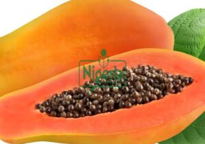 If You Take Pawpaw Seeds, Prepare To Have This Happen To You (DETAILS₦