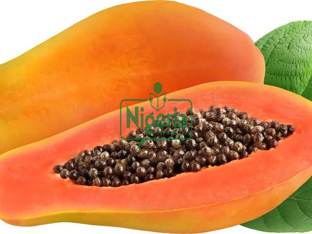 If You Take Pawpaw Seeds, Prepare To Have This Happen To You (DETAILS₦ If You Take Pawpaw Seeds, Prepare To Have This Happen To You (DETAILS₦