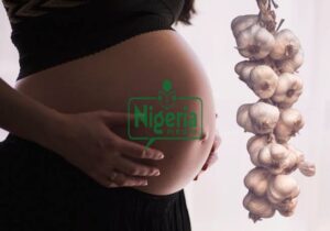 Health Benefits Of Eating Garlic During Pregnancy (BREAKING)