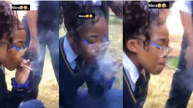 Parents should get closer to their children – Video of a girl recklessly smoking weed as she celebrates 18th birthday with colleagues trends (Watch Video) Parents should get closer to their children – Video of a girl recklessly smoking weed as she celebrates 18th birthday with colleagues trends (Watch Video)