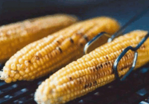 JUST-IN: 4 Common Diseases That Can Be Managed By Eating Roasted Corn Regularly