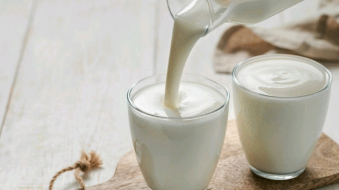 BREAKING: Benefits Of Drinking Sour Milk You Need to Know BREAKING: Benefits Of Drinking Sour Milk You Need to Know