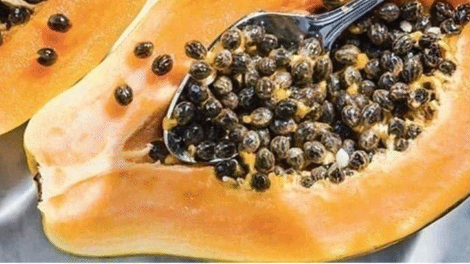 Side Effects Of Eating Pawpaw’s Seeds You Never Knew