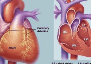 BREAKING: If Your Heart Is In Danger Your Body Will Give You These 11 Signs