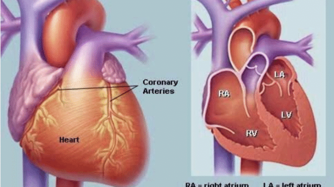BREAKING: If Your Heart Is In Danger Your Body Will Give You These 11 Signs BREAKING: If Your Heart Is In Danger Your Body Will Give You These 11 Signs