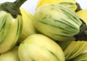 BREAKING NEWS: How To Use Garden Egg To Cleanse Your Kidneys & Flush Out Toxins
