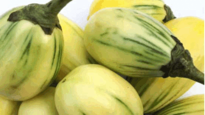 BREAKING NEWS: How To Use Garden Egg To Cleanse Your Kidneys & Flush Out Toxins