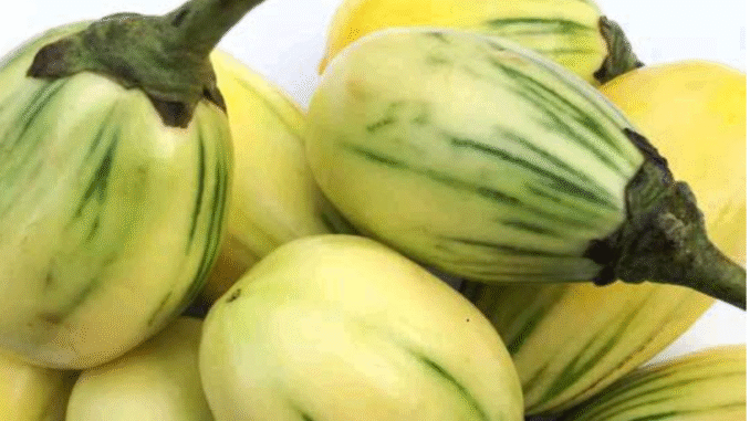 BREAKING NEWS: How To Use Garden Egg To Cleanse Your Kidneys & Flush Out Toxins