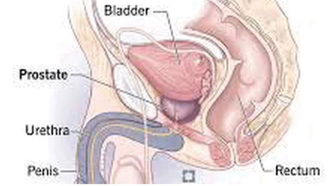 BREAKING NEWS: What Men Should Do To Reduce The Risk Of Prostrate Enlargement As They Grow Older