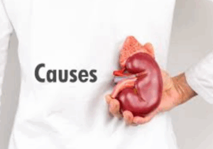 BREAKING NEWS: If Your Kidneys Are In Danger, Your Body Will Give You These Signs