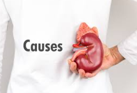 BREAKING NEWS: If Your Kidneys Are In Danger, Your Body Will Give You These Signs