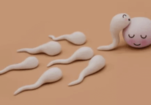 BREAKING: Does sperm quality change with age?