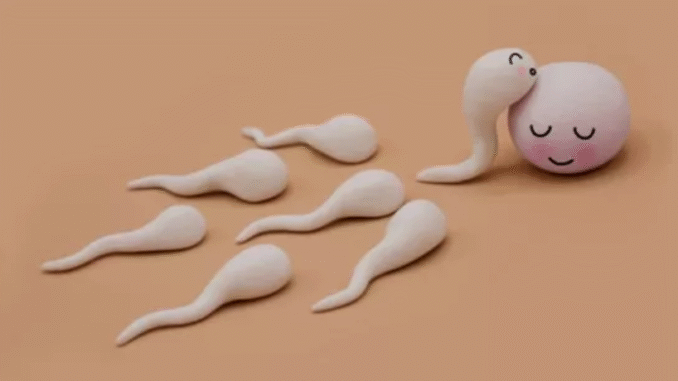 BREAKING: Does sperm quality change with age?