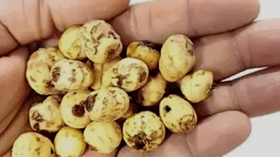 BREAKING: Foods Men Should Consume to Replenish their Sperm Cells/Increase their Sperm Count
