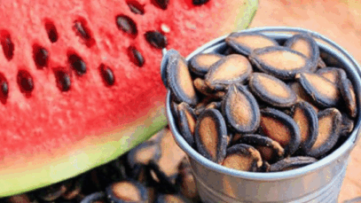 JUST-IN: Here are 3 Things that Accidentally happens when you eat watermelon seeds