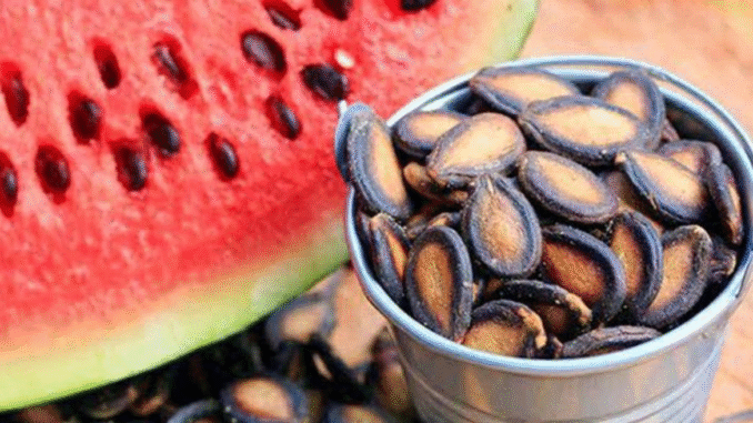 JUST-IN: Here are 3 Things that Accidentally happens when you eat watermelon seeds JUST-IN: Here are 3 Things that Accidentally happens when you eat watermelon seeds
