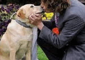 BREAKING: List Of People Who Got Married To Animals Across The World