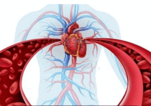 BREAKING: Your blood may not be circulating well if you notice these things in your body