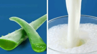 BREAKING NEWS: Aloe vera And Milk Does Wonders When Mixed Together Here Are The Secret Benefits Of This Mixture