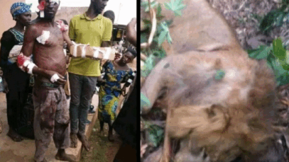 Bare-Handed Hero: Ugandan Man Kills Lion After Hour-Long Battle to Save His Family
