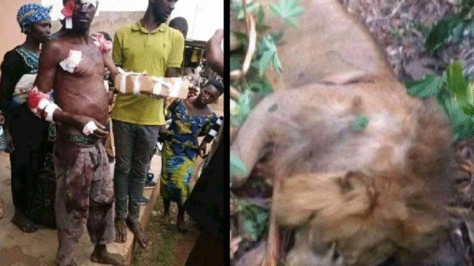 Bare-Handed Hero: Ugandan Man Kills Lion After Hour-Long Battle to Save His Family Bare-Handed Hero: Ugandan Man Kills Lion After Hour-Long Battle to Save His Family